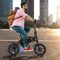 Electric Bike for Adults Folding Electric Bicycle with 350W Motor and 36V Battery - 46 x 17 x 42 inch (L x W x H)